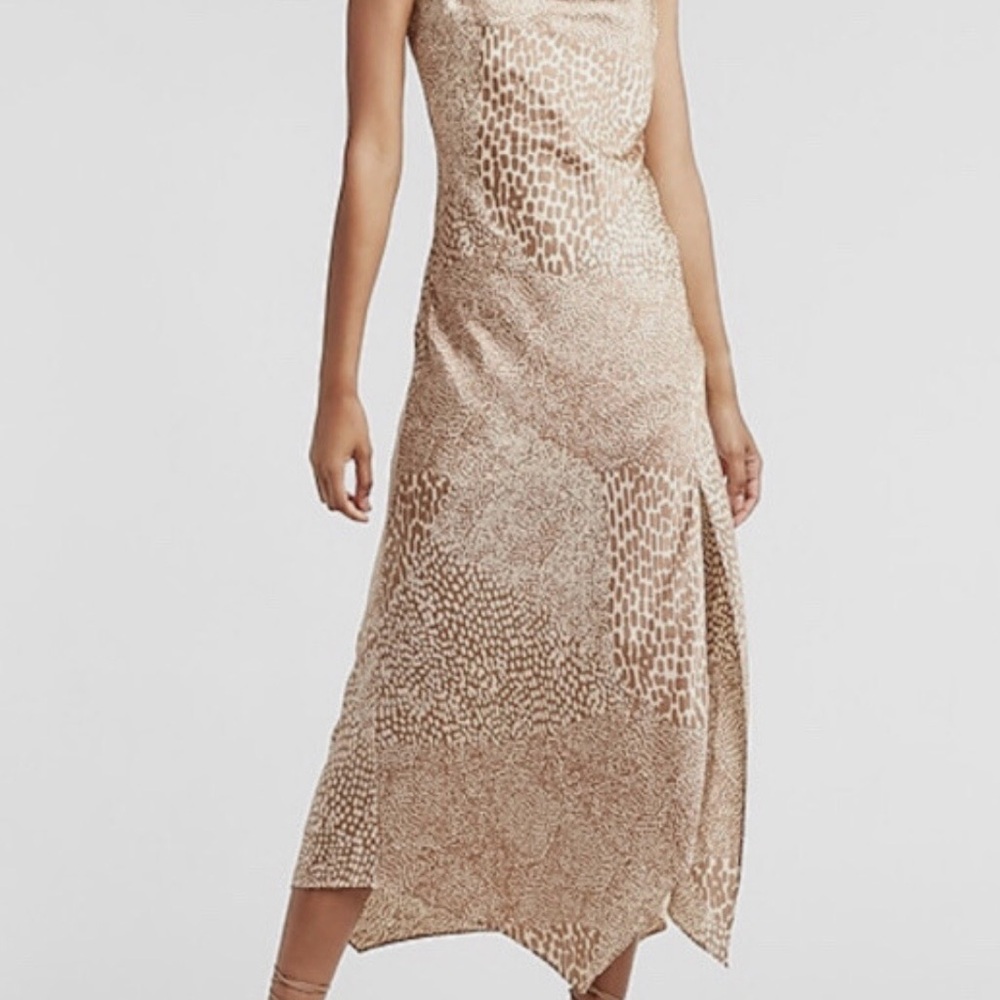 Express Champagne Maxi Slip Dress